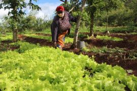 Maria Odete - Comunidade Quilombola Alto Bonito - Senhor do Bonfim_04.JPG