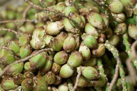 WhatsApp Image 2020-07-23 at 17.18.29 (7).jpeg