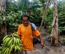 WhatsApp Image 2020-08-10 at 16.37.19.jpeg