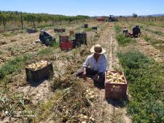 WhatsApp Image 2020-09-11 at 17.07.46 (1).jpeg