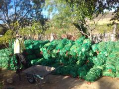 WhatsApp Image 2020-09-14 at 18.06.11 (1).jpeg