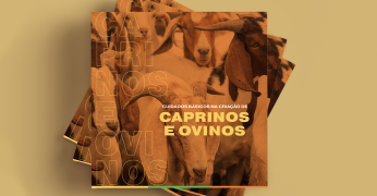 capa materia - cartilha.png