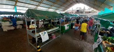 WhatsApp Image 2020-10-17 at 10.48.44.jpeg