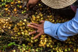 WhatsApp Image 2020-10-27 at 10.28.19.jpeg