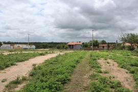 WhatsApp Image 2020-11-12 at 14.48.34.jpeg