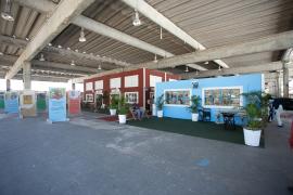 WhatsApp Image 2020-11-20 at 16.54.42.jpeg