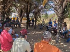 WhatsApp Image 2021-01-14 at 14.50.32 (1).jpeg