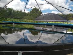 WhatsApp Image 2021-01-21 at 15.19.22.jpeg