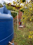 WhatsApp Image 2021-02-01 at 16.39.02.jpeg