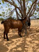 WhatsApp Image 2021-02-01 at 20.57.53.jpeg