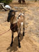 WhatsApp Image 2021-02-01 at 20.57.54 (1).jpeg