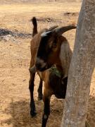 WhatsApp Image 2021-02-01 at 20.57.54.jpeg