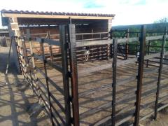 WhatsApp Image 2021-03-17 at 18.31.02.jpeg