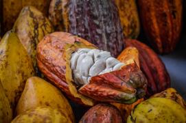 WhatsApp Image 2021-03-26 at 12.08.55 (1).jpeg