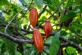 WhatsApp Image 2021-03-26 at 12.08.56.jpeg