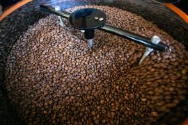 WhatsApp Image 2021-04-14 at 11.52.08.jpeg