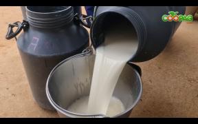 WhatsApp Image 2021-05-19 at 09.29.17 (1).jpeg