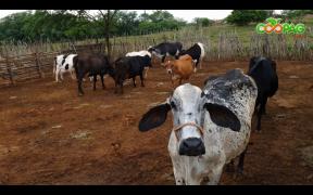 WhatsApp Image 2021-05-19 at 09.29.17.jpeg