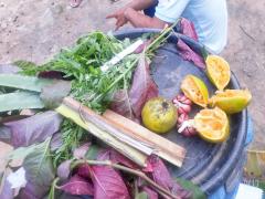 WhatsApp Image 2021-05-20 at 16.02.01.jpeg