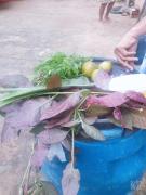 WhatsApp Image 2021-05-20 at 16.02.03.jpeg