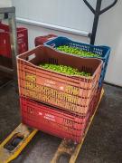 WhatsApp Image 2021-05-26 at 15.05.45 (1).jpeg