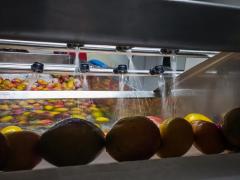 WhatsApp Image 2021-05-26 at 15.05.45.jpeg