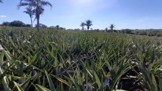 WhatsApp Image 2021-06-09 at 15.23.30.jpeg