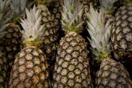 WhatsApp Image 2021-06-09 at 15.24.31.jpeg