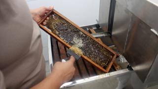 WhatsApp Image 2021-06-11 at 11.59.53.jpeg