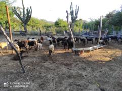 WhatsApp Image 2021-06-15 at 11.11.03.jpeg