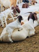 WhatsApp Image 2021-06-15 at 11.17.19.jpeg