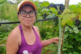 WhatsApp Image 2021-07-23 at 12.10.39.jpeg