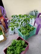 WhatsApp Image 2021-07-26 at 14.51.21.jpeg