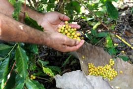 WhatsApp Image 2021-08-04 at 17.04.01 (13).jpeg