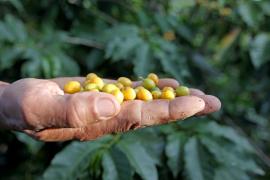 WhatsApp Image 2021-08-04 at 17.04.01 (4).jpeg