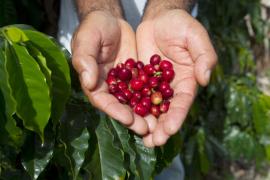 WhatsApp Image 2021-08-04 at 17.04.01 (7).jpeg