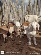 WhatsApp Image 2021-08-13 at 15.19.14.jpeg