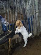 WhatsApp Image 2021-08-13 at 15.19.35.jpeg