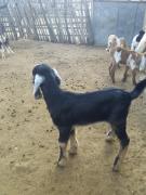 WhatsApp Image 2021-08-13 at 15.19.38.jpeg