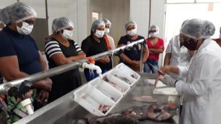 WhatsApp Image 2021-08-17 at 14.19.24.jpeg