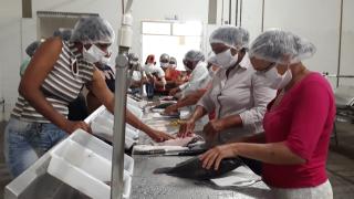 WhatsApp Image 2021-08-17 at 14.19.25 (1).jpeg