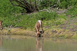 WhatsApp Image 2021-09-01 at 16.07.31 (10).jpeg