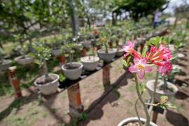 WhatsApp Image 2021-09-01 at 16.07.31 (11).jpeg