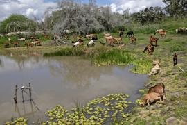 WhatsApp Image 2021-09-01 at 16.07.31 (5).jpeg