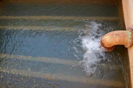 WhatsApp Image 2021-09-01 at 16.07.31 (7).jpeg