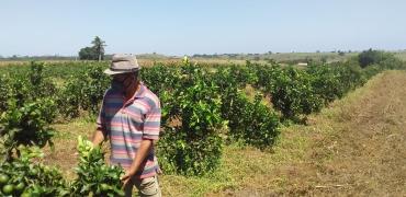 WhatsApp Image 2021-09-23 at 16.47.06.jpeg