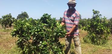 WhatsApp Image 2021-09-23 at 16.47.08.jpeg