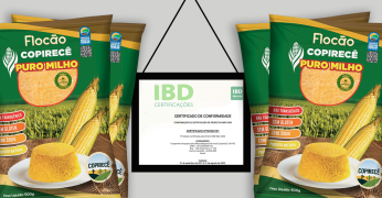 capa milho copiar.png