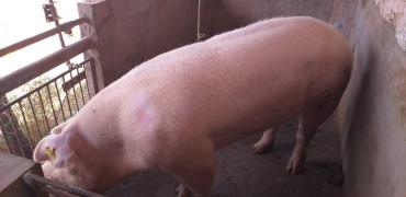 WhatsApp Image 2021-10-05 at 15.20.19.jpeg