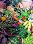 WhatsApp Image 2021-10-08 at 12.37.49.jpeg